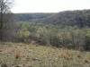 Mammoth Cave Area